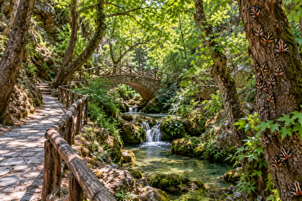 Valley of the Butterflies